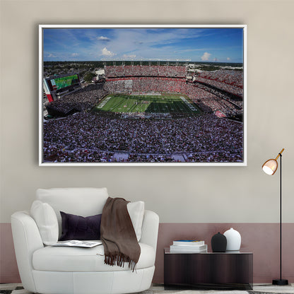 William Brice Stadium, Stadium Canvas, Sport Art, Framed Canvas Print Wall Art, Floating Frame