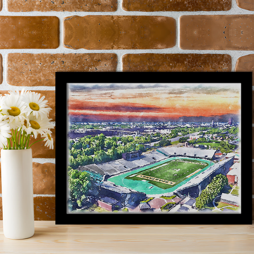 William Dick Price Painting Stadium Watercolor, Norfolk Virginia Watercolor, Sport Gift Art, Framed Art Print Wall Decor