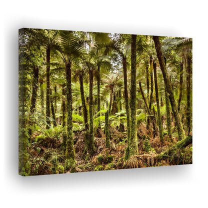 Wind and rain in a forest of giant Katote Ferns near Monroe Beach, New Zealand, Cavas Print Wall Art Hom Decor
