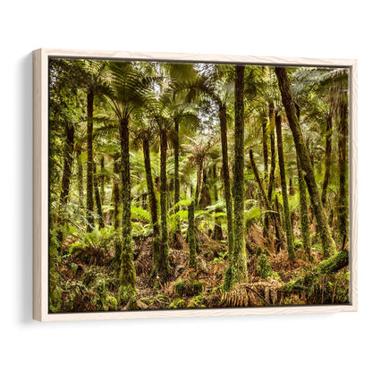 Wind And Rain In A Forest Of Giant Katote Ferns Near Monroe Beach, New Zealand, Framed Cavas Print, Floating Frame