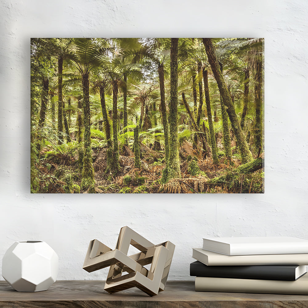 Wind and rain in a forest of giant Katote Ferns near Monroe Beach, New Zealand, Cavas Print Wall Art Hom Decor