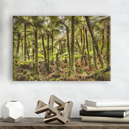 Wind and rain in a forest of giant Katote Ferns near Monroe Beach, New Zealand, Cavas Print Wall Art Hom Decor