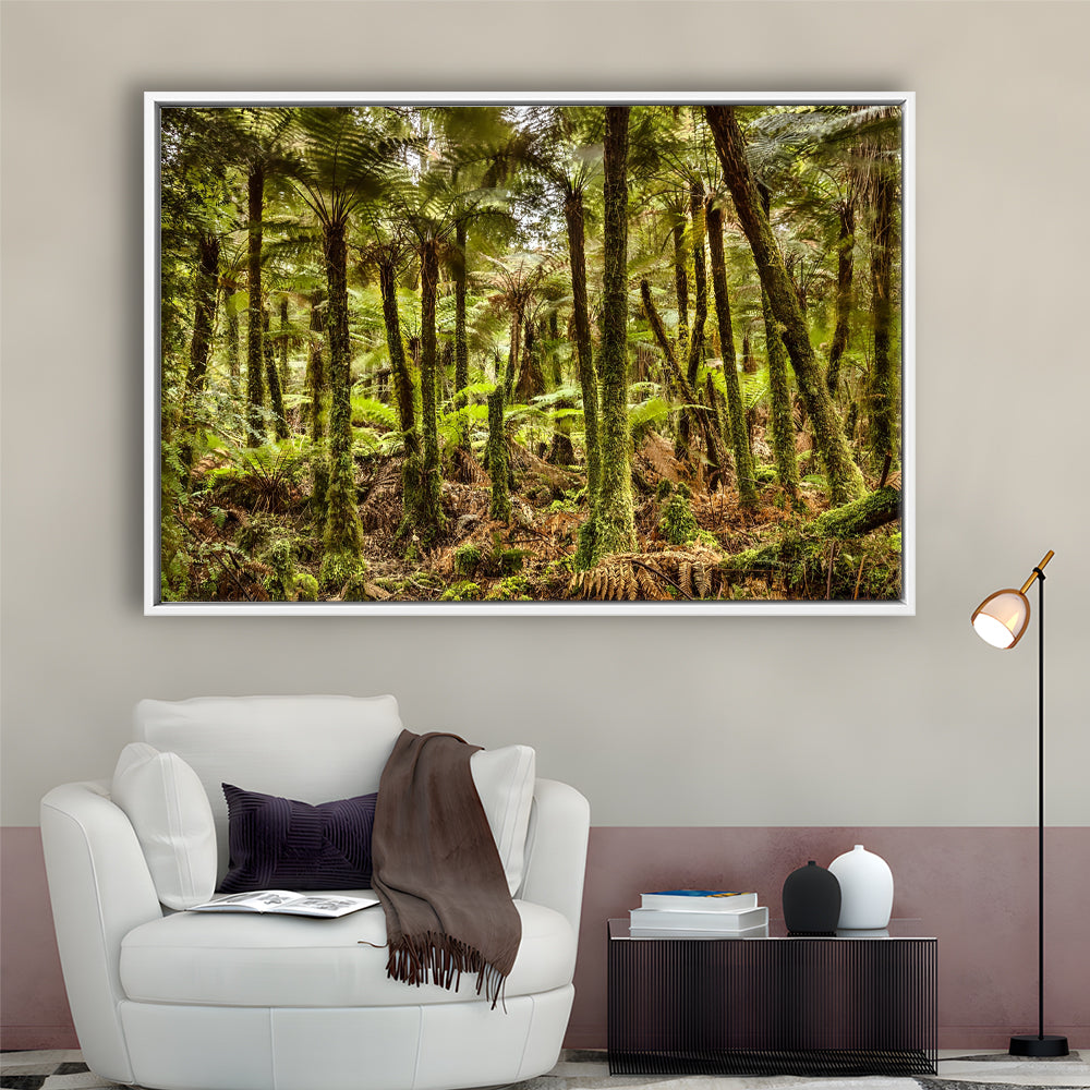 Wind And Rain In A Forest Of Giant Katote Ferns Near Monroe Beach, New Zealand, Framed Cavas Print, Floating Frame