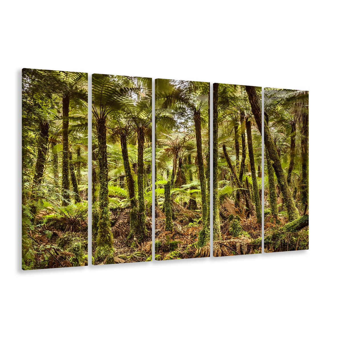 Wind and rain in a forest of giant Katote Ferns near Monroe Beach, 5 Piece B Extra Large Cavas Print Wall Art Decor