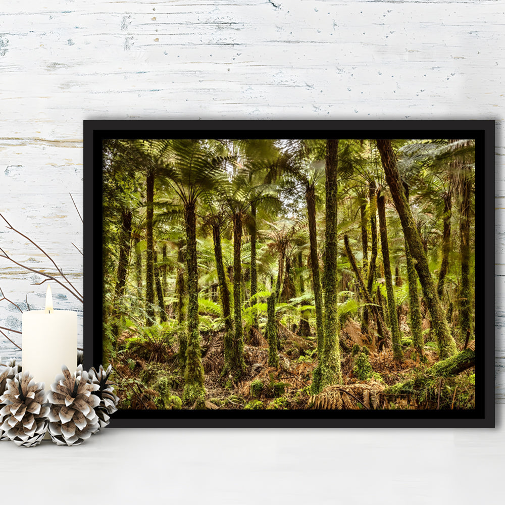 Wind And Rain In A Forest Of Giant Katote Ferns Near Monroe Beach, New Zealand, Framed Cavas Print, Floating Frame