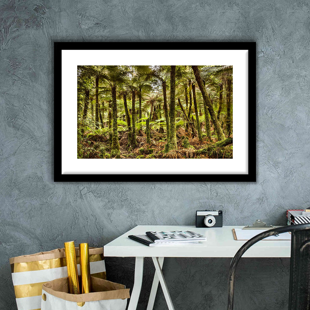 Wind And Rain In A Forest Of Giant Katote Ferns Near Monroe Beach, New Zealand, Framed Art Print White Border