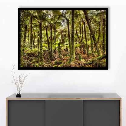 Wind And Rain In A Forest Of Giant Katote Ferns Near Monroe Beach, New Zealand, Framed Art Print, Picture Framed