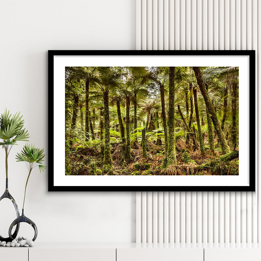 Wind And Rain In A Forest Of Giant Katote Ferns Near Monroe Beach, New Zealand, Framed Art Print White Border