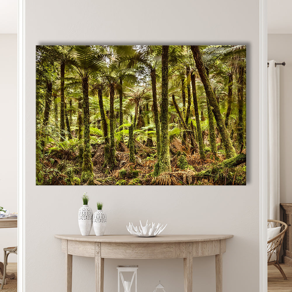 Wind and rain in a forest of giant Katote Ferns near Monroe Beach, New Zealand, Cavas Print Wall Art Hom Decor