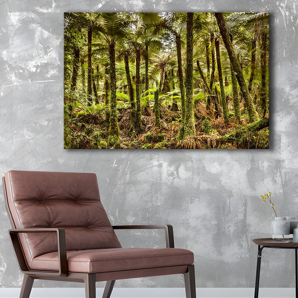 Wind and rain in a forest of giant Katote Ferns near Monroe Beach, New Zealand, Cavas Print Wall Art Hom Decor