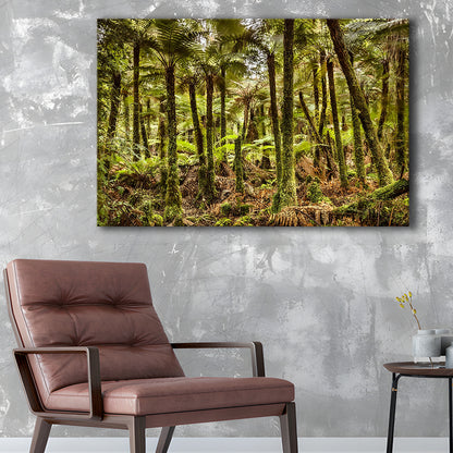 Wind and rain in a forest of giant Katote Ferns near Monroe Beach, New Zealand, Cavas Print Wall Art Hom Decor