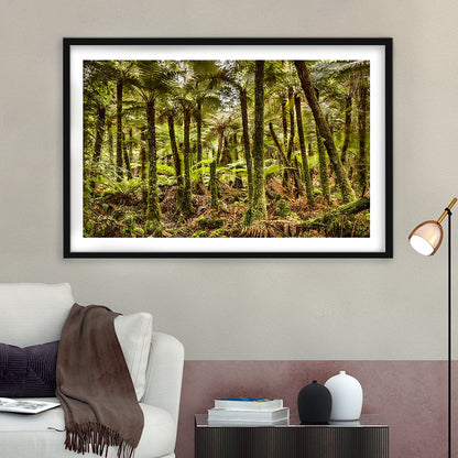 Wind And Rain In A Forest Of Giant Katote Ferns Near Monroe Beach, New Zealand, Framed Art Print White Border