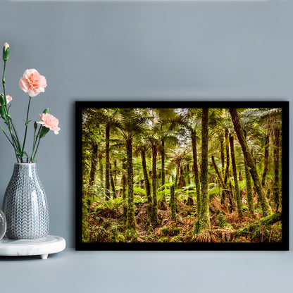 Wind And Rain In A Forest Of Giant Katote Ferns Near Monroe Beach, New Zealand, Framed Art Print, Picture Framed
