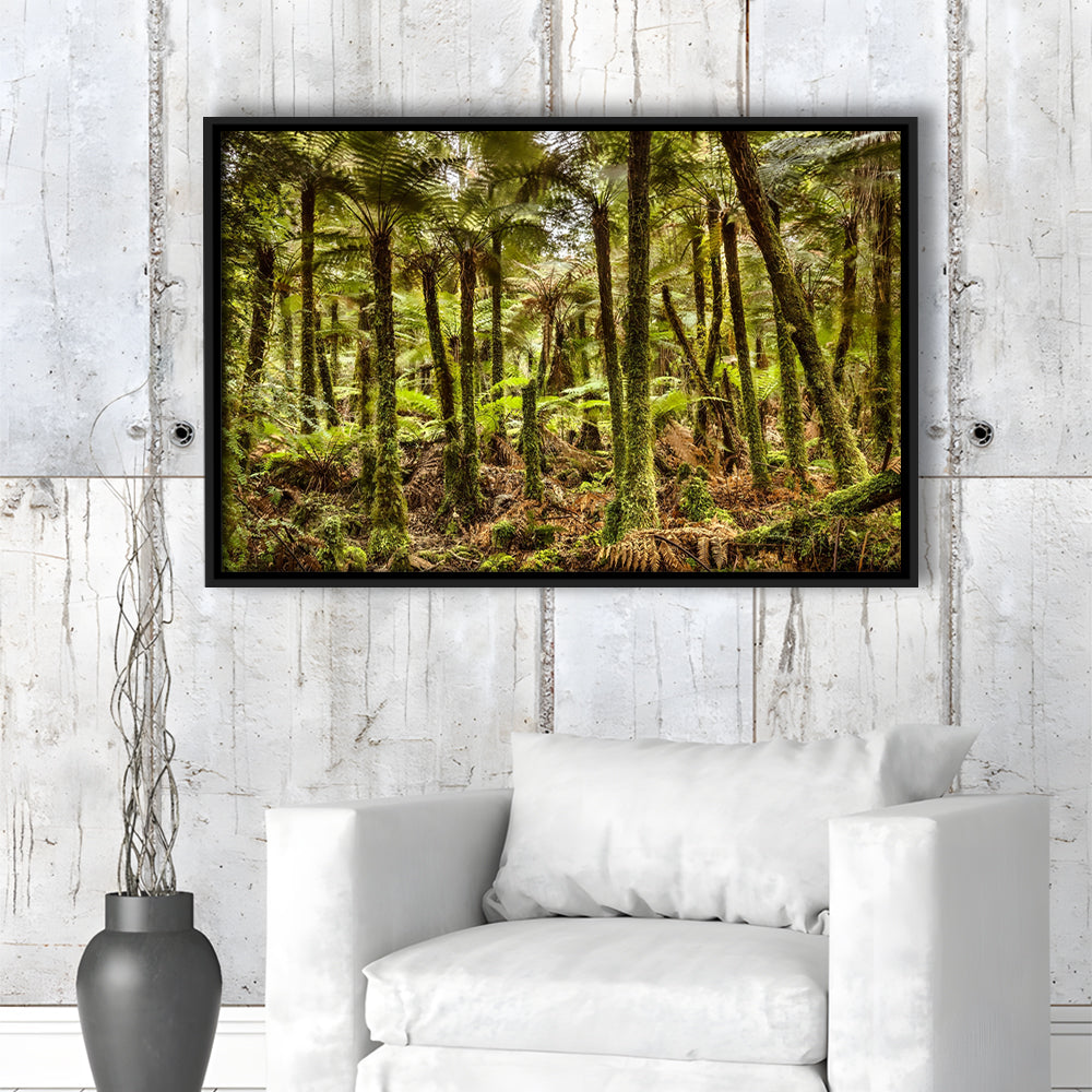 Wind And Rain In A Forest Of Giant Katote Ferns Near Monroe Beach, New Zealand, Framed Cavas Print, Floating Frame