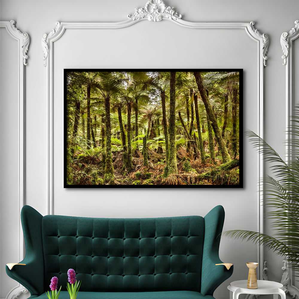 Wind And Rain In A Forest Of Giant Katote Ferns Near Monroe Beach, New Zealand, Framed Art Print, Picture Framed