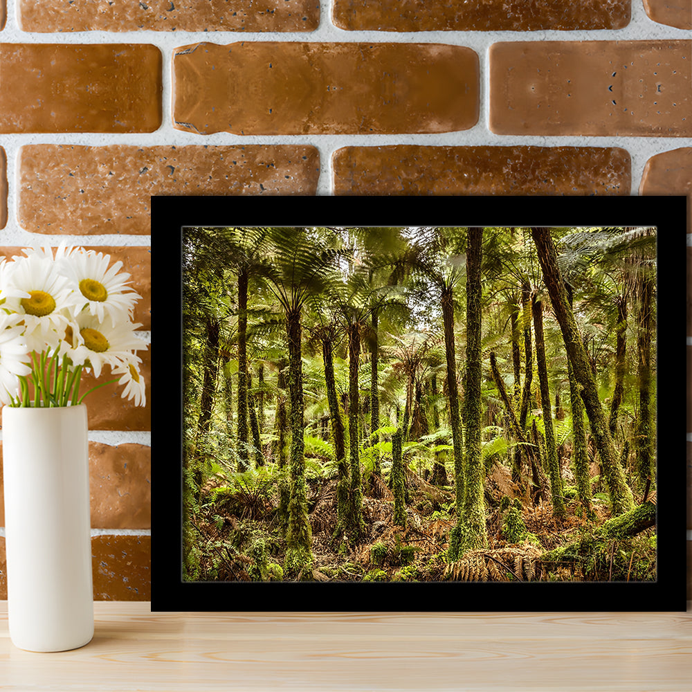 Wind And Rain In A Forest Of Giant Katote Ferns Near Monroe Beach, New Zealand, Framed Art Print, Picture Framed