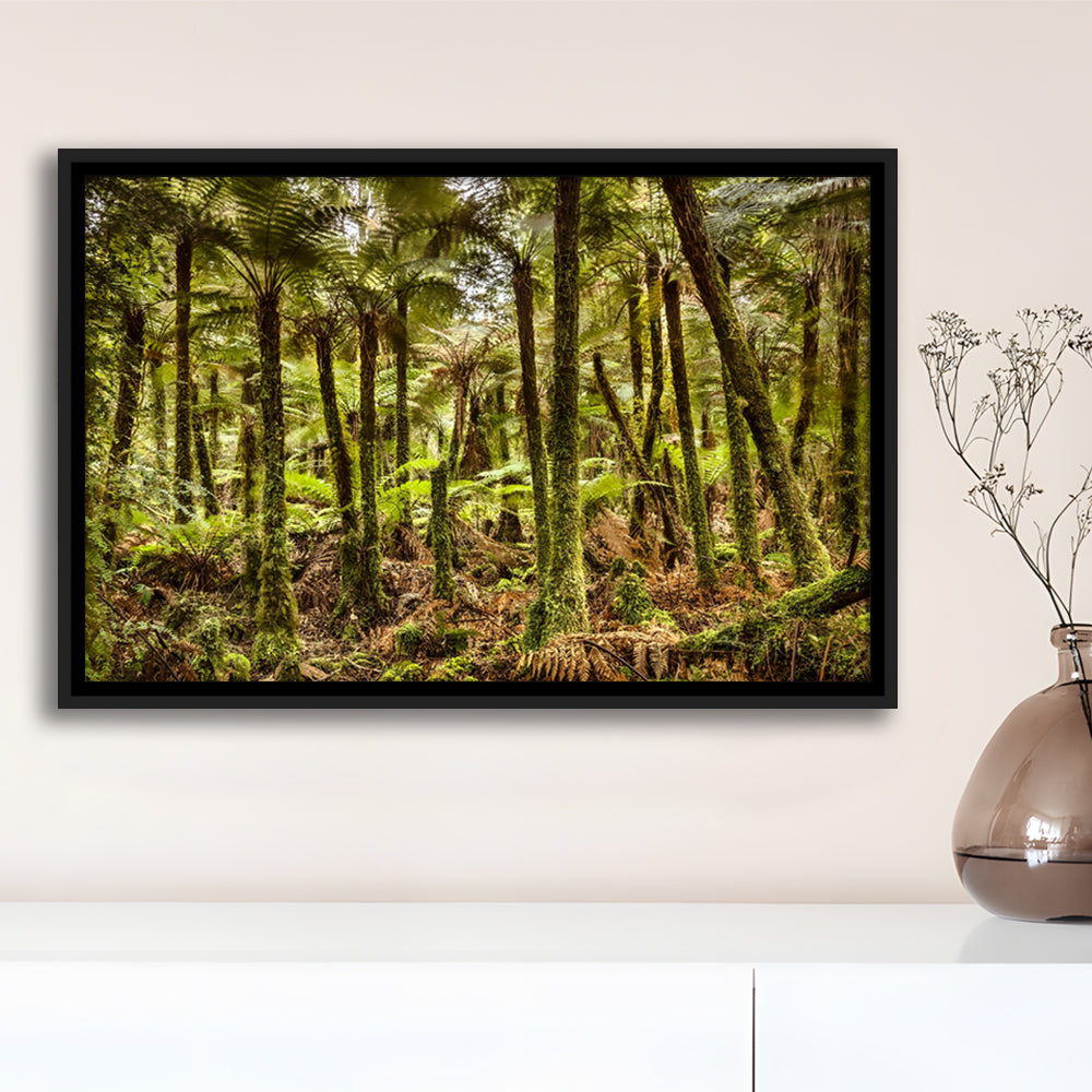 Wind And Rain In A Forest Of Giant Katote Ferns Near Monroe Beach, New Zealand, Framed Cavas Print, Floating Frame