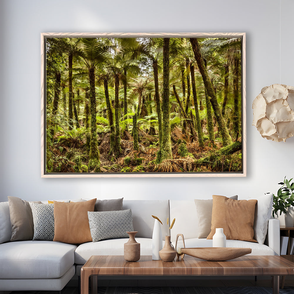 Wind And Rain In A Forest Of Giant Katote Ferns Near Monroe Beach, New Zealand, Framed Cavas Print, Floating Frame