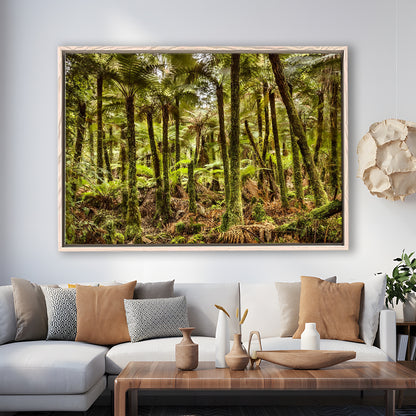 Wind And Rain In A Forest Of Giant Katote Ferns Near Monroe Beach, New Zealand, Framed Cavas Print, Floating Frame