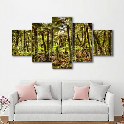 Wind and rain in a forest of giant Katote Ferns near Monroe Beach, New Zealand, 5 Piece Large Cavas Print Wall Art