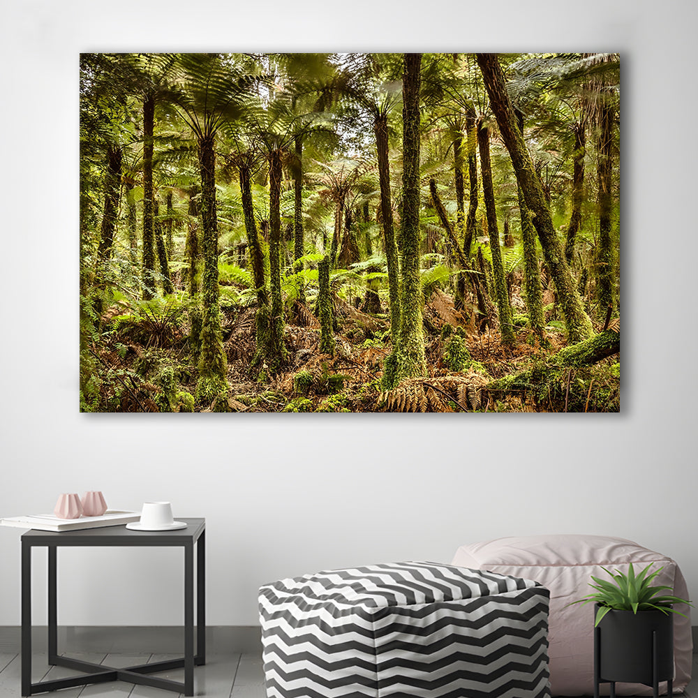 Wind and rain in a forest of giant Katote Ferns near Monroe Beach, New Zealand, Cavas Print Wall Art Hom Decor