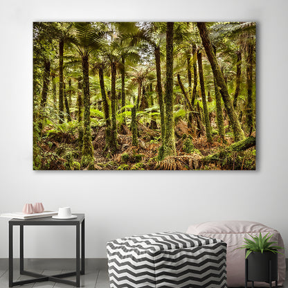 Wind and rain in a forest of giant Katote Ferns near Monroe Beach, New Zealand, Cavas Print Wall Art Hom Decor