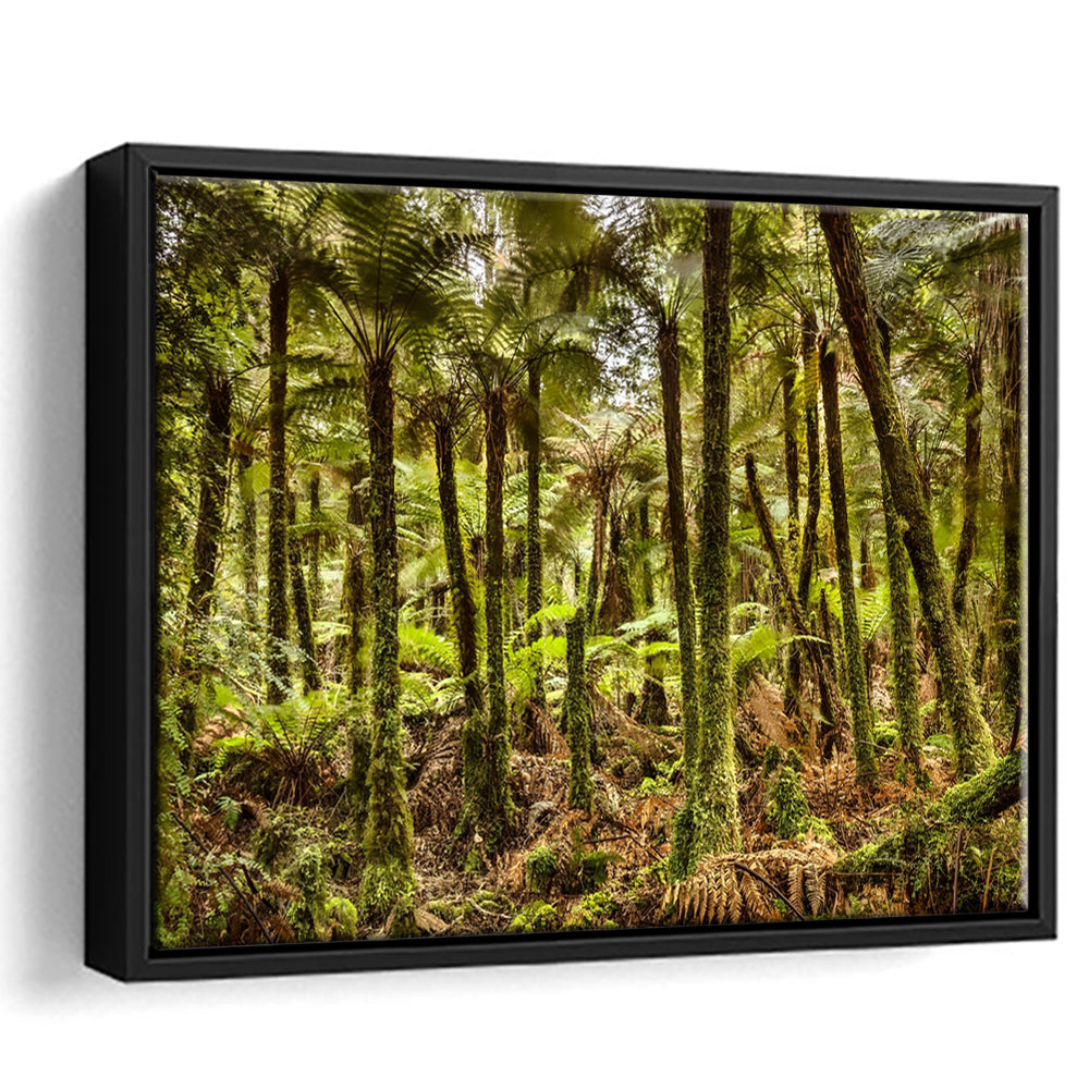 Wind And Rain In A Forest Of Giant Katote Ferns Near Monroe Beach, New Zealand, Framed Cavas Print, Floating Frame