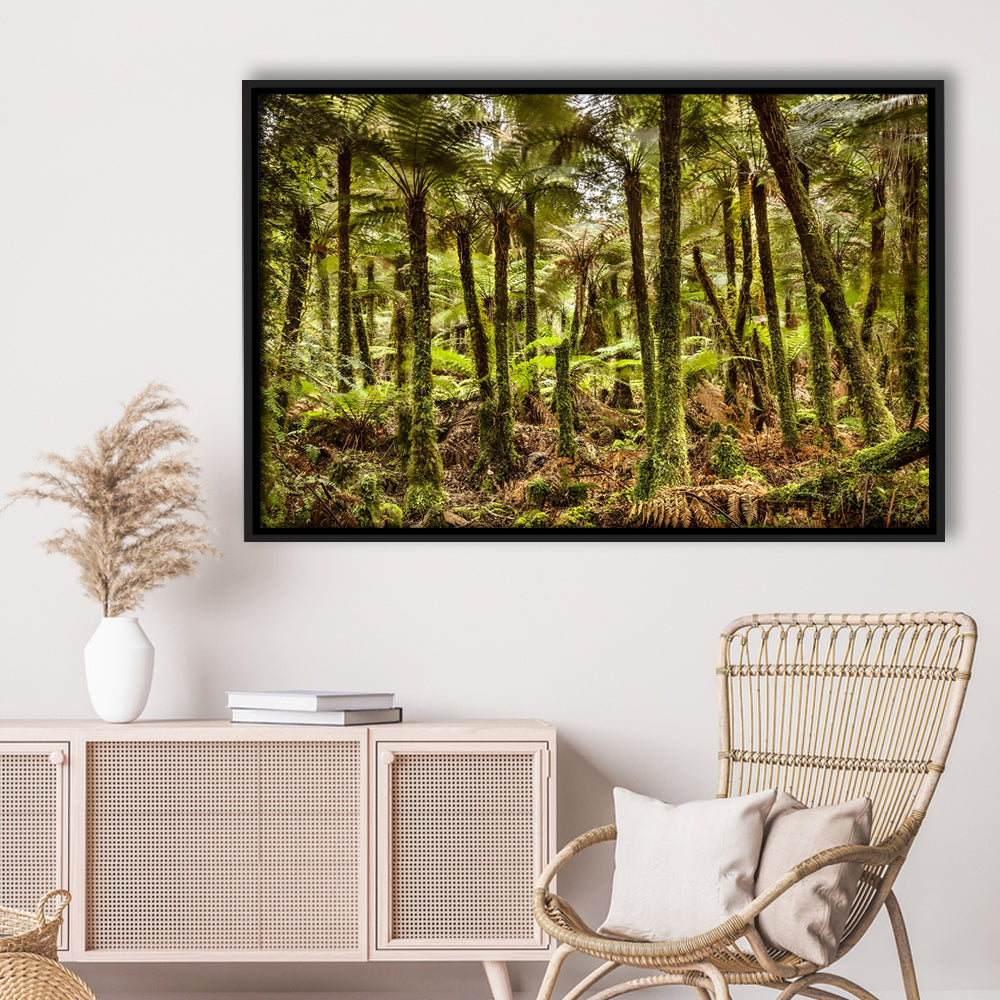 Wind And Rain In A Forest Of Giant Katote Ferns Near Monroe Beach, New Zealand, Framed Cavas Print, Floating Frame