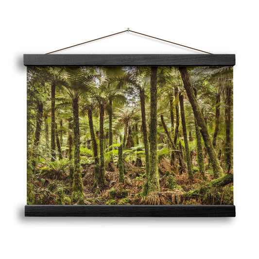 Wind And Rain In A Forest Of Giant Katote Ferns Near Monroe Beach, New Zealand, Hanging Cavas Print Wall Art, Ready to Hang