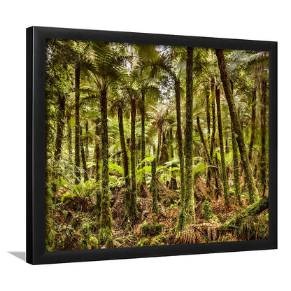 Wind And Rain In A Forest Of Giant Katote Ferns Near Monroe Beach, New Zealand, Framed Art Print, Picture Framed