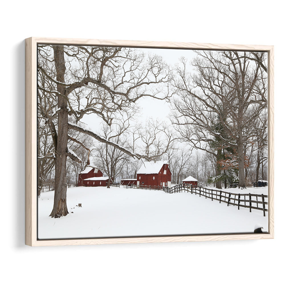 Winter Wonderland, Framed Cavas Print, Floating Frame
