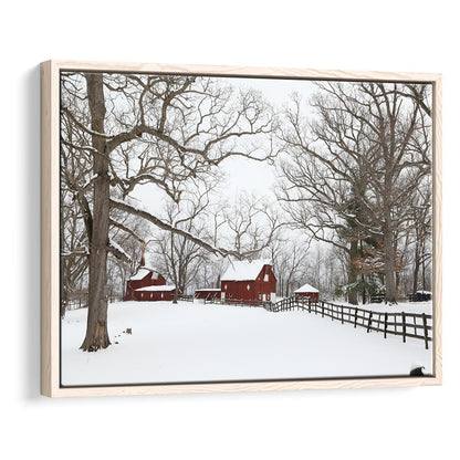 Winter Wonderland, Framed Cavas Print, Floating Frame