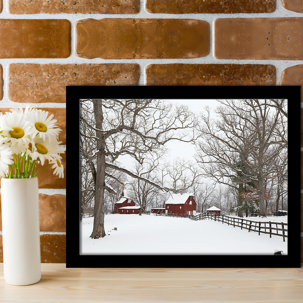 Winter Wonderland, Framed Art Print, Picture Framed