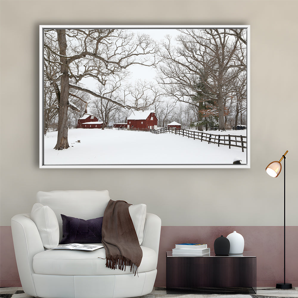 Winter Wonderland, Framed Cavas Print, Floating Frame