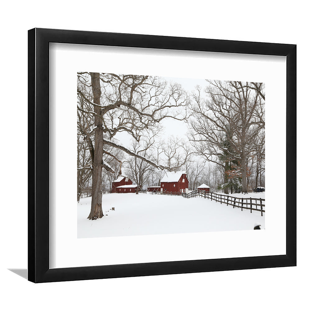Winter Wonderland, Framed Art Print White Border, Framed Picture