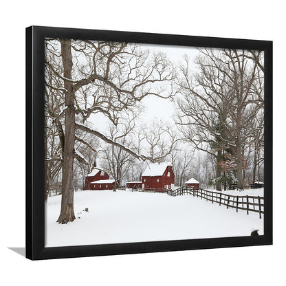 Winter Wonderland, Framed Art Print, Picture Framed