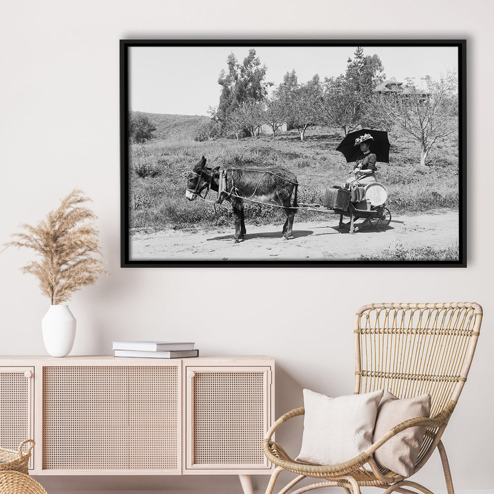 Woman in Donkey Cart Victorian Woman Photo Black and White Art, Floating Framed Canvas Print