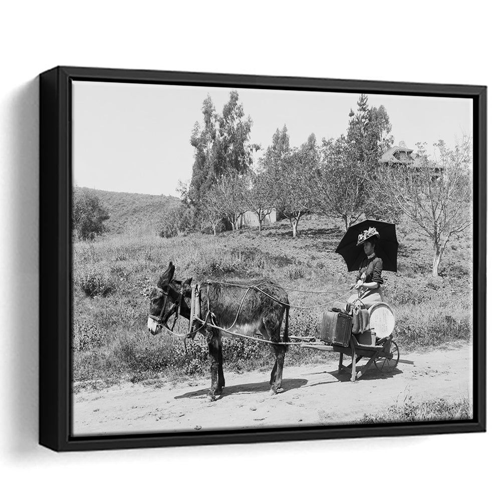 Woman in Donkey Cart Victorian Woman Photo Black and White Art, Floating Framed Canvas Print