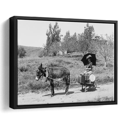 Woman in Donkey Cart Victorian Woman Photo Black and White Art, Floating Framed Canvas Print