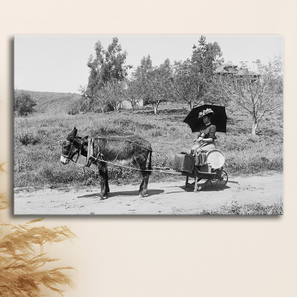 Woman in Donkey Cart Victorian Woman Photo Black and White Art, Canvas Print Wall Art Decor