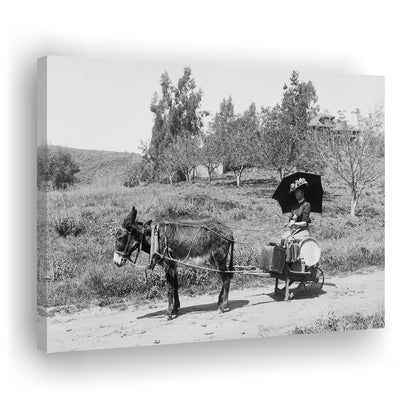 Woman in Donkey Cart Victorian Woman Photo Black and White Art, Canvas Print Wall Art Decor