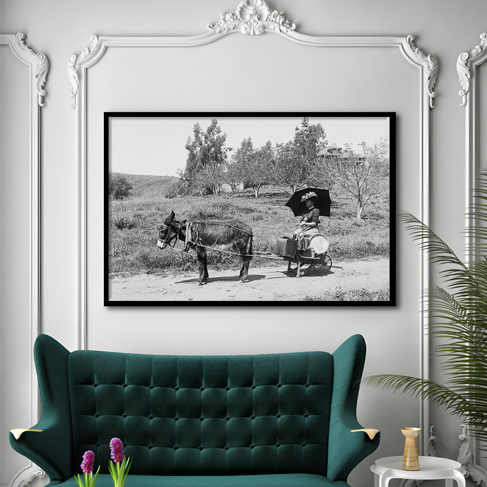 Woman in Donkey Cart Victorian Woman Photo Black and White Art, Framed Art Print Wall Decor