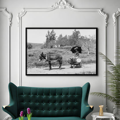 Woman in Donkey Cart Victorian Woman Photo Black and White Art, Framed Art Print Wall Decor