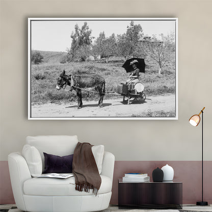 Woman in Donkey Cart Victorian Woman Photo Black and White Art, Floating Framed Canvas Print