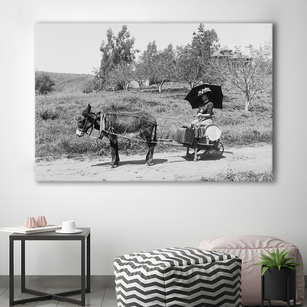 Woman in Donkey Cart Victorian Woman Photo Black and White Art, Canvas Print Wall Art Decor