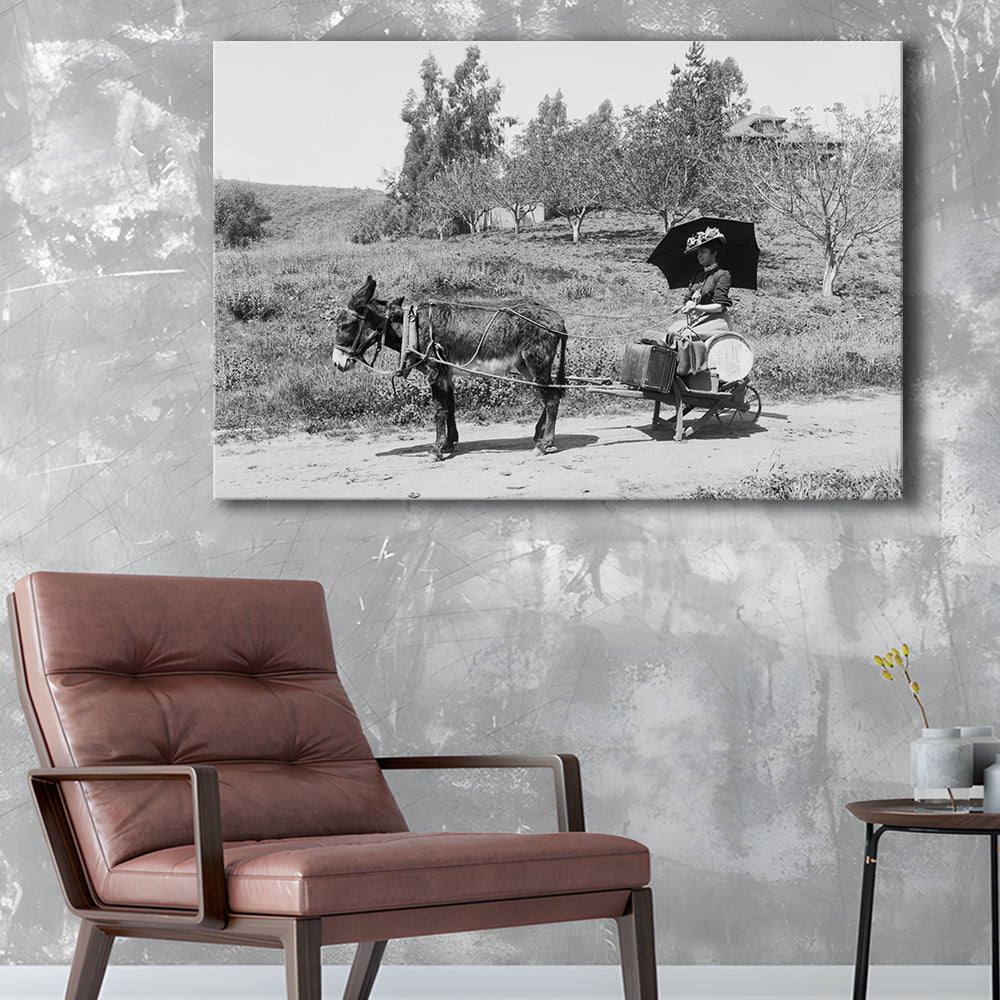 Woman in Donkey Cart Victorian Woman Photo Black and White Art, Canvas Print Wall Art Decor