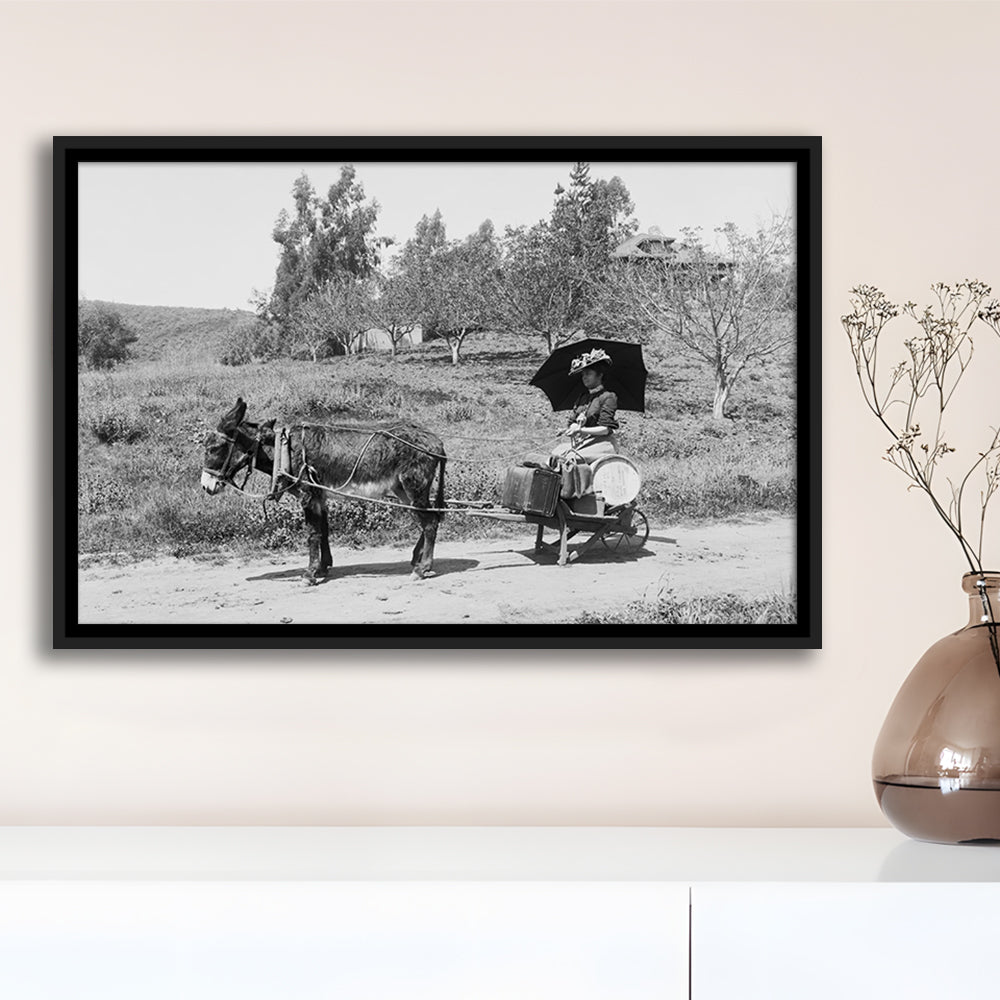 Woman in Donkey Cart Victorian Woman Photo Black and White Art, Floating Framed Canvas Print