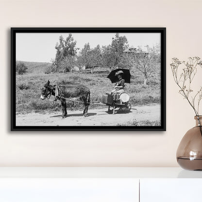 Woman in Donkey Cart Victorian Woman Photo Black and White Art, Floating Framed Canvas Print