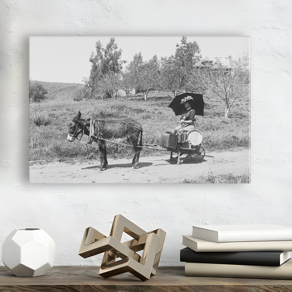Woman in Donkey Cart Victorian Woman Photo Black and White Art, Canvas Print Wall Art Decor
