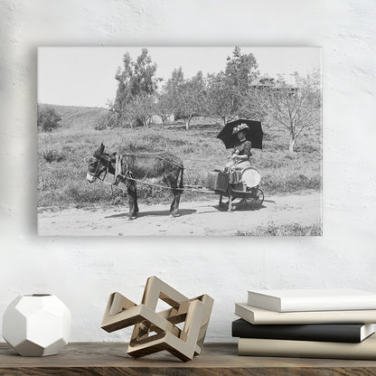Woman in Donkey Cart Victorian Woman Photo Black and White Art, Canvas Print Wall Art Decor